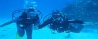 TOURISTS IN Diving at Whale Island -TL406